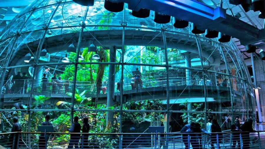 California Academy of Sciences Thursday NightLife Admission - Planetarium shows: the $5 pass you must plan for