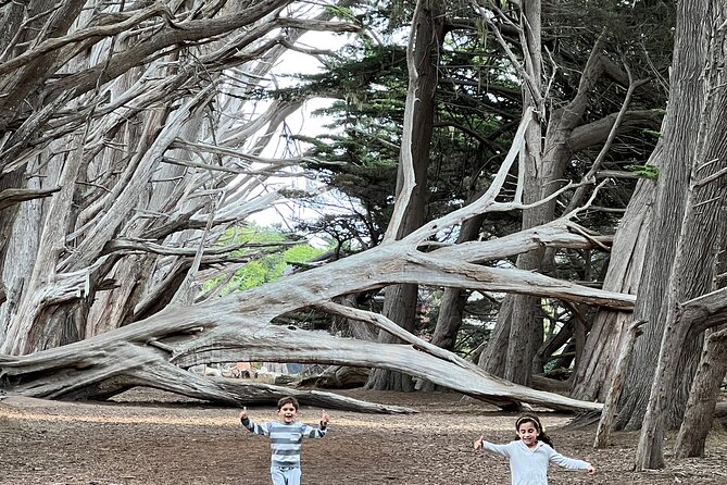Carmel, Monterey and Big Sur Tour Private Tour from San Francisco - Santa Cruz Area Bakery Breaks You’ll Actually Remember