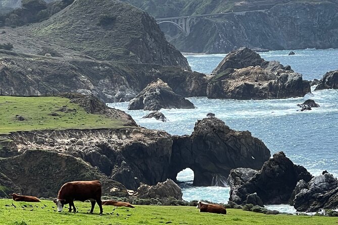 Carmel, Monterey and Big Sur Tour Private Tour from San Francisco - Big Sur Photo Stops: Bixby Bridge and Hurricane Point Vibes