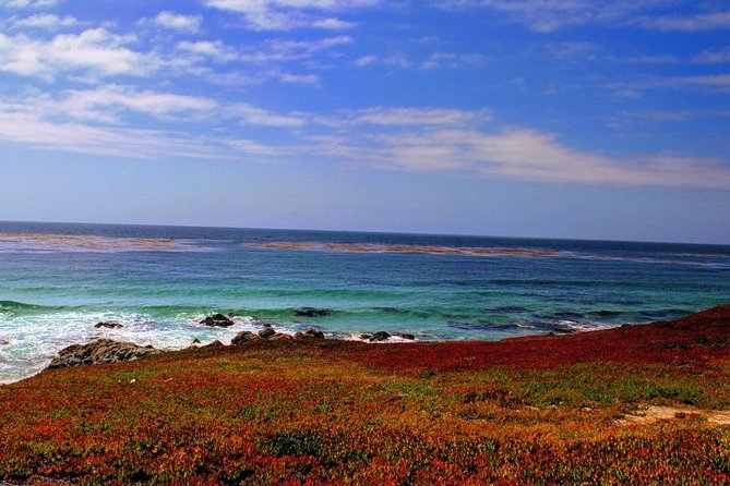 Carmel / Monterey Hwy 1 tour - Highway 1 and 17-Mile Drive: Why This Route Works So Well