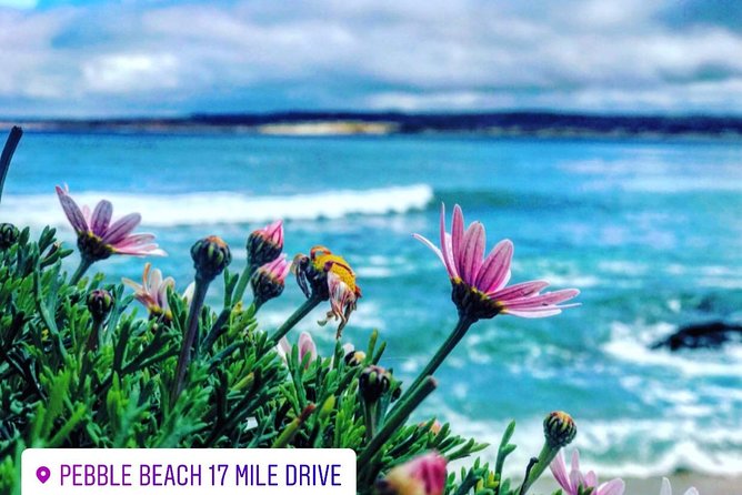 Carmel / Monterey Hwy 1 tour - Monterey Time: Stroll, Lunch, and the Aquarium Option