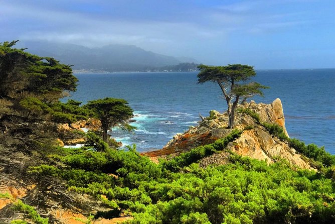 Carmel / Monterey Hwy 1 tour - Carmel Downtown Walk: Boutiques, Shoreline Vibes, and a Slow Hour
