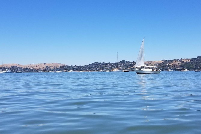 Combo Small-Group Tour: SF City plus Muir Woods & Sausalito - Muir Woods National Monument: walking among old-growth redwoods