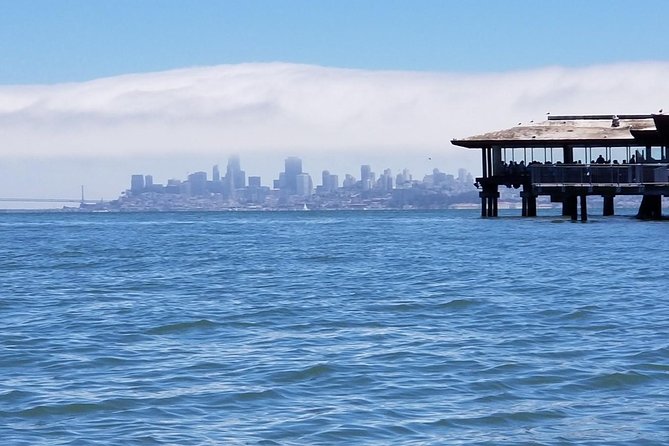 Combo Small-Group Tour: SF City plus Muir Woods & Sausalito - City highlights: Pier 39, Lombard Street, Chinatown, and more