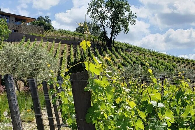 Custom 8-Hour Napa Valley Wine Tour in a Luxury Vehicle - Price and value: $815 per group up to 3 people
