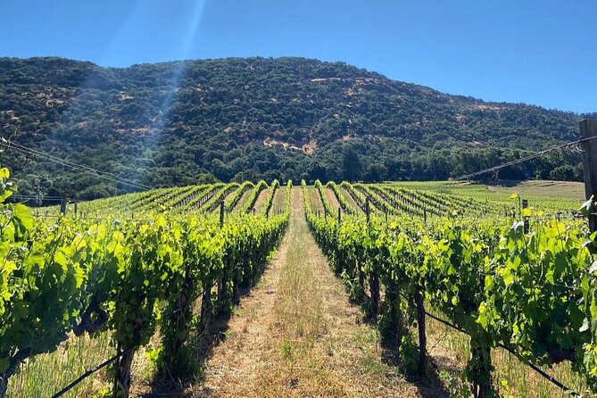 Discover Napa Valley’s Hidden Gems with Local Sommelière - What this Napa Valley wine day gets right (and why it matters)
