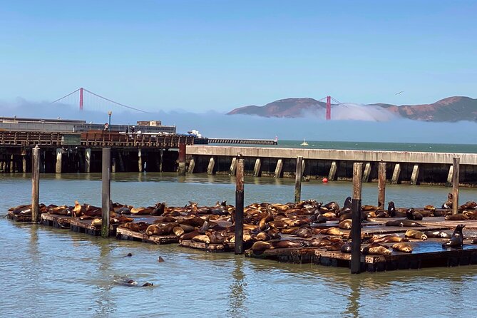 Fisherman’s Wharf Highlights Tour + Golden Gate Bay Voyage - Key things to know before you go