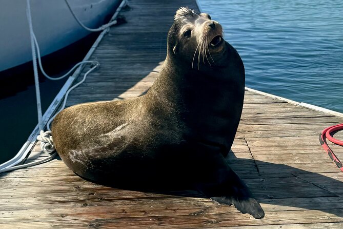 Fisherman’s Wharf & Pier 39 Food Tour - Includes Full Meal, 3 hrs - Boudin at the Wharf: sourdough that comes with a survival story