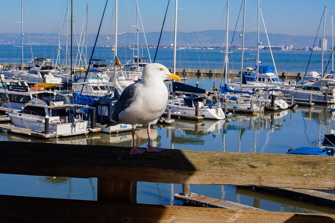 Fisherman’s Wharf & Pier 39 Food Tour - Includes Full Meal, 3 hrs - Musée Mécanique: old arcade machines and coin-operated charm