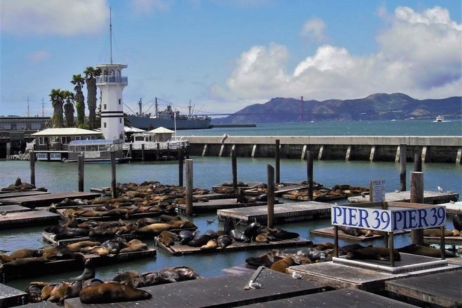 Fisherman's Wharf Walking Tour - Quick Hits: What Makes This Wharf Tour Worth Your Time
