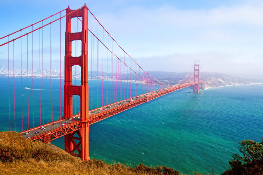 From San Francisco: Alcatraz Night & Muir Woods & Sausalito - Muir Woods National Monument: 1.5 hours under giant redwoods