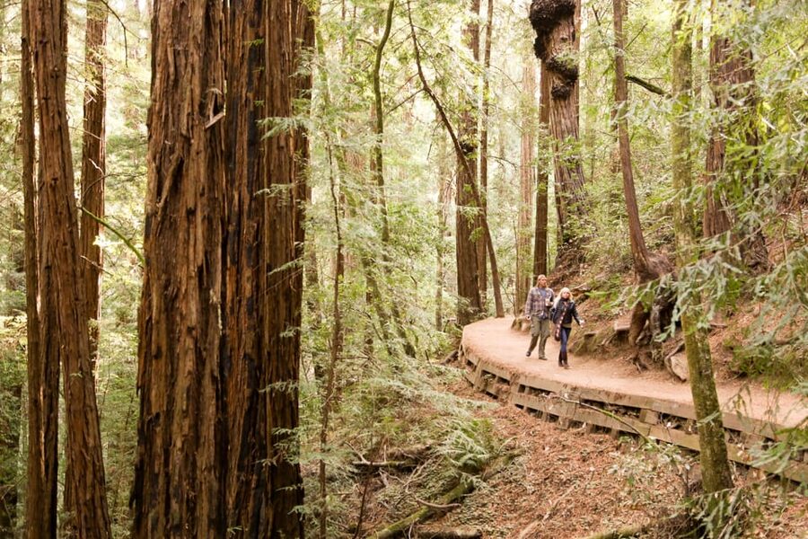 From San Francisco: Alcatraz Night & Muir Woods & Sausalito - Sausalito mid-day: a quick narrated intro plus free time by the water