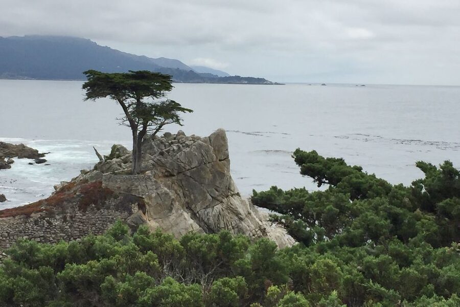 From San Francisco: Carmel, Monterey & Big Sur Private Tour - Quick Highlights You’ll Actually Feel