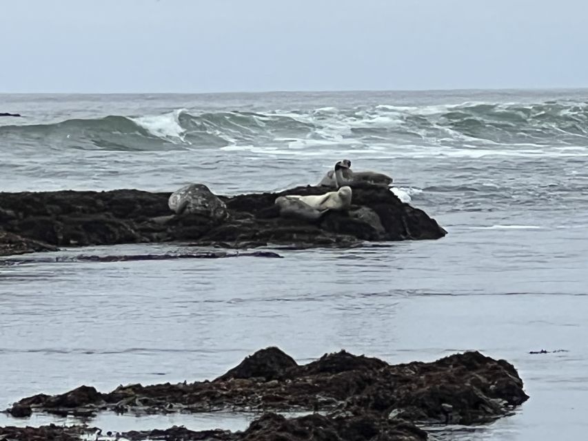 From San Francisco: Carmel, Monterey & Big Sur Private Tour - Guide Style: Why Fred and Marciano’s Names Keep Showing Up