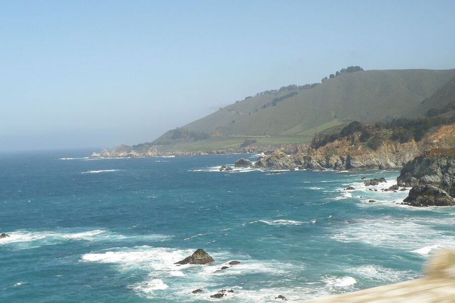 From San Francisco: Carmel, Monterey & Big Sur Private Tour - 17-Mile Drive: The Forested Coastal Intermission