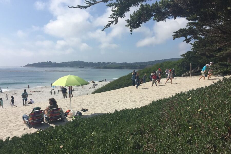 From San Francisco: Carmel, Monterey & Big Sur Private Tour - Carmel-by-the-Sea Walk Time: Where Small Choices Matter