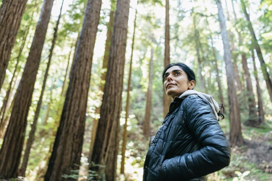 From San Francisco: Guided Muir Woods Tour - Starting at 99 Jefferson Street: Getting On Without Stress