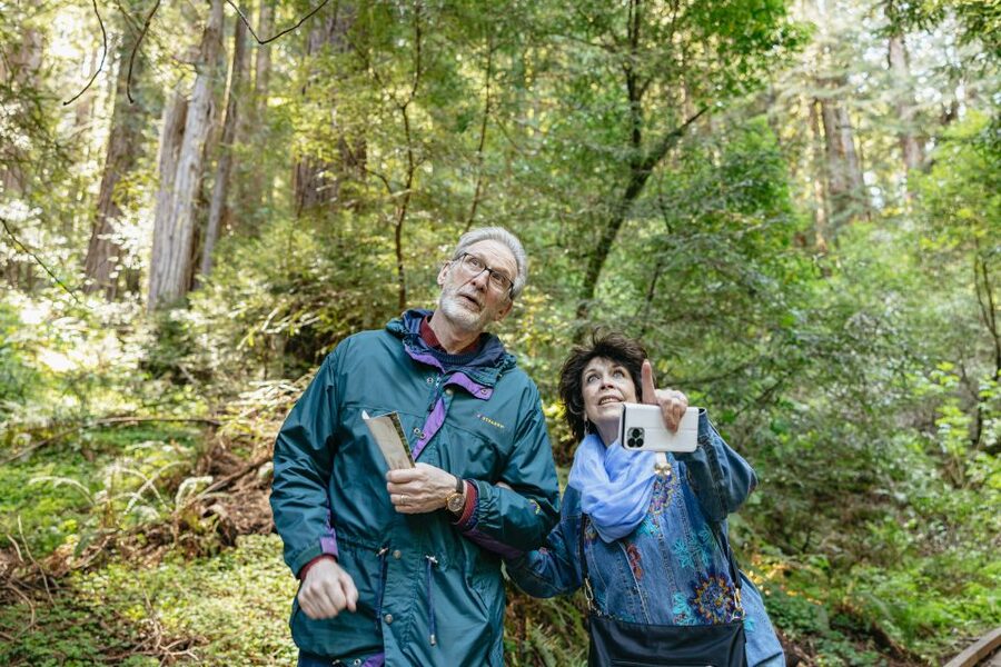 From San Francisco: Guided Muir Woods Tour - Who Should Book This Muir Woods + Sausalito Plan
