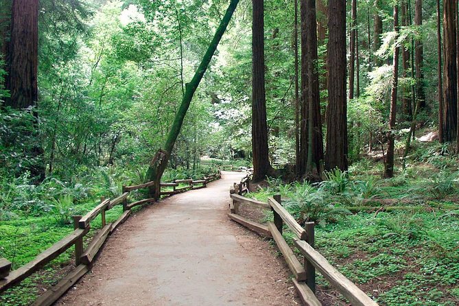 From San Francisco: Guided Tour to Muir Woods and Sausalito - Optional upgrades: ferry and Big Bus combo (how to decide)