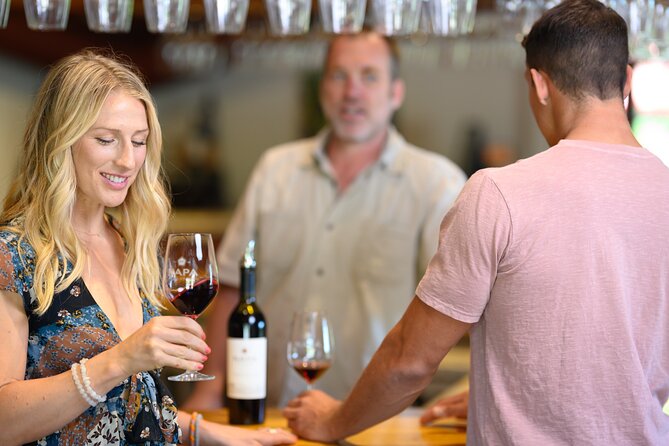 From San Francisco: Half-Day Wine Aficionado Tour with Tastings - Key Highlights You Should Actually Care About