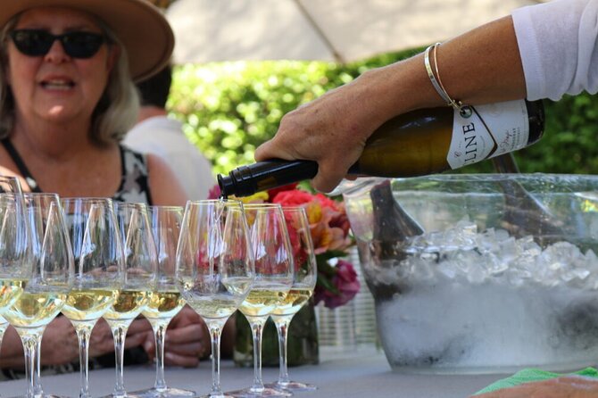 From San Francisco: Half-Day Wine Aficionado Tour with Tastings - Who This Tour Is Best For (And Who Might Want a Different Day)