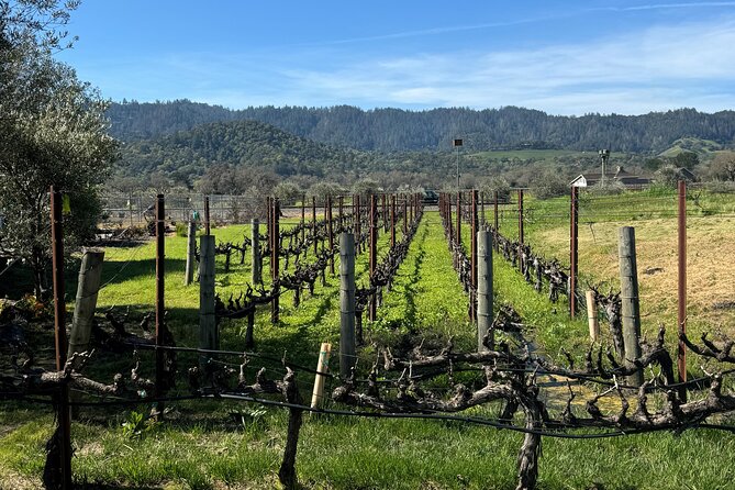From San Francisco: Half-Day Wine Aficionado Tour with Tastings - From Fisherman’s Wharf to the Golden Gate: The Ride Is Part of the Experience