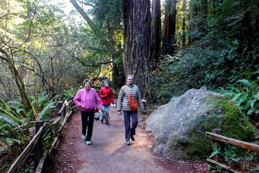 From San Francisco: Muir Woods & 3 Wineries in Napa & Sonoma - Price and value: is $199 a fair deal for this day?