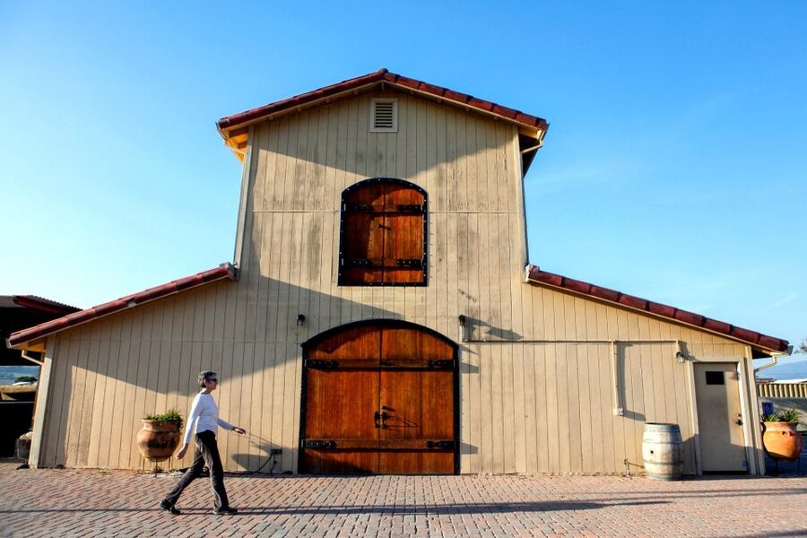 From San Francisco: Muir Woods & 3 Wineries in Napa & Sonoma - Sonoma Plaza lunch: where you reset before wine tasting