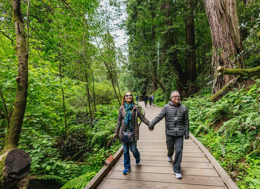 From San Francisco: Muir Woods, Sausalito and Alcatraz Tour - Muir Woods at Redwood Creek: Giant Trees and Real Time