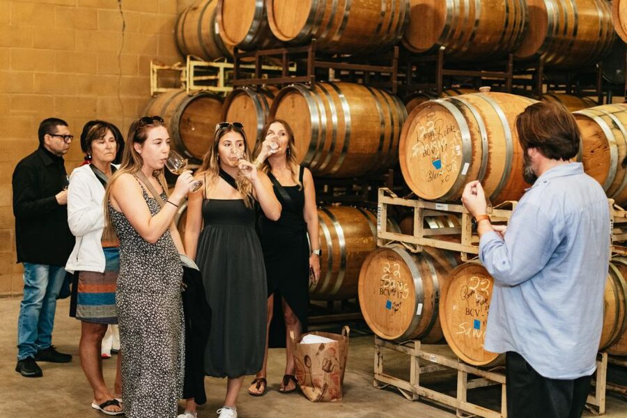 From San Francisco: Napa & Sonoma Valley Full-Day Wine Tour - Key highlights worth planning for