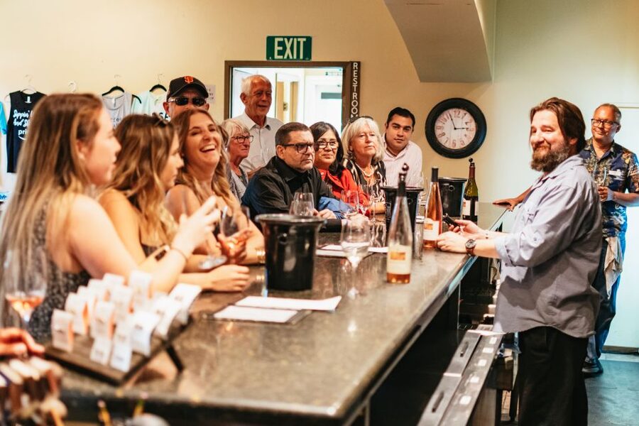 From San Francisco: Napa & Sonoma Valley Full-Day Wine Tour - What the guides and drivers do for the day (and why it matters)