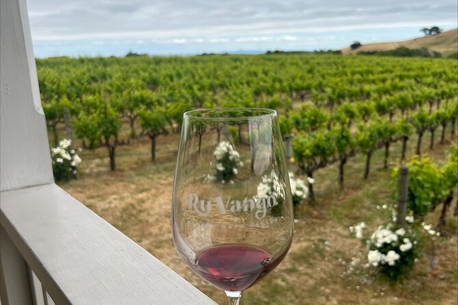 From San Francisco: Napa & Sonoma Valley Wine Tour with Tastings - The Transfer Portion Isn’t Wasted Time: Golden Gate and Sausalito Views