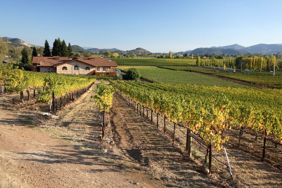 From San Francisco: Napa Valley Private Tour - Key takeaways before you go