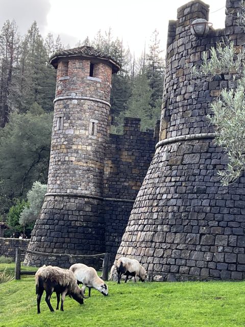 From San Francisco: Napa Valley Private Tour - How the 6-hour day really plays out (and why it can feel fast)