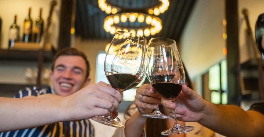 From San Francisco: The Ultimate Napa and Sonoma Wine Tour - Napa Valley winery tasting: learning what you taste