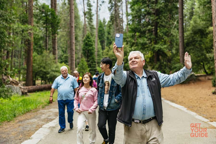 From San Francisco: Yosemite National Park Guided Day Trip - Who This Tour Suits Best (and Who Might Prefer a Different Plan)