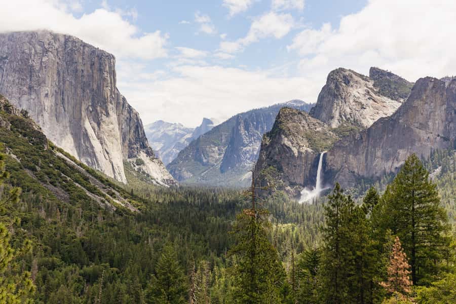 From San Francisco: Yosemite National Park Guided Day Trip - Icon Photo Stops: Tunnel View, El Capitan, Bridalveil Falls, Yosemite Falls