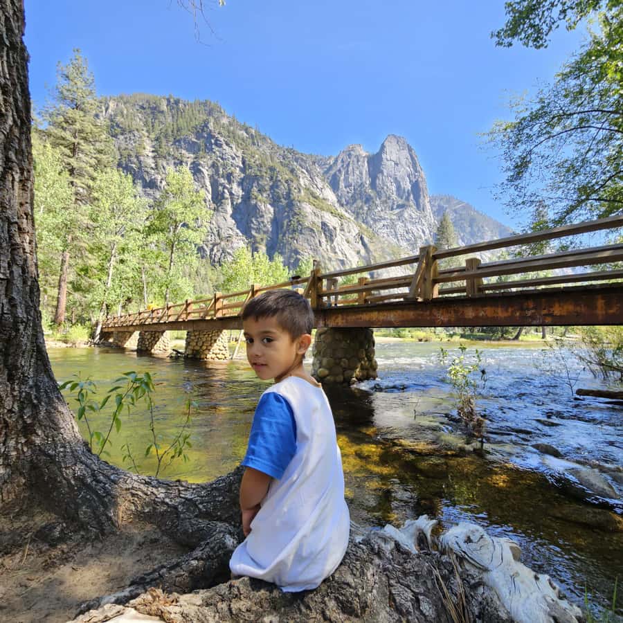 From San Francisco: Yosemite National Park Guided Day Trip - Price and Fees: Is $197 Good Value for a Yosemite Day Trip?