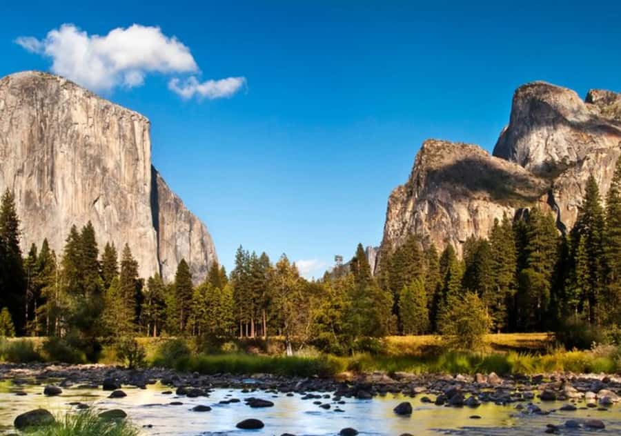 From San Jose:Enchanted Full Day Yosemite National Park Tour - The long-drive reality: San Jose to Yosemite, time well spent