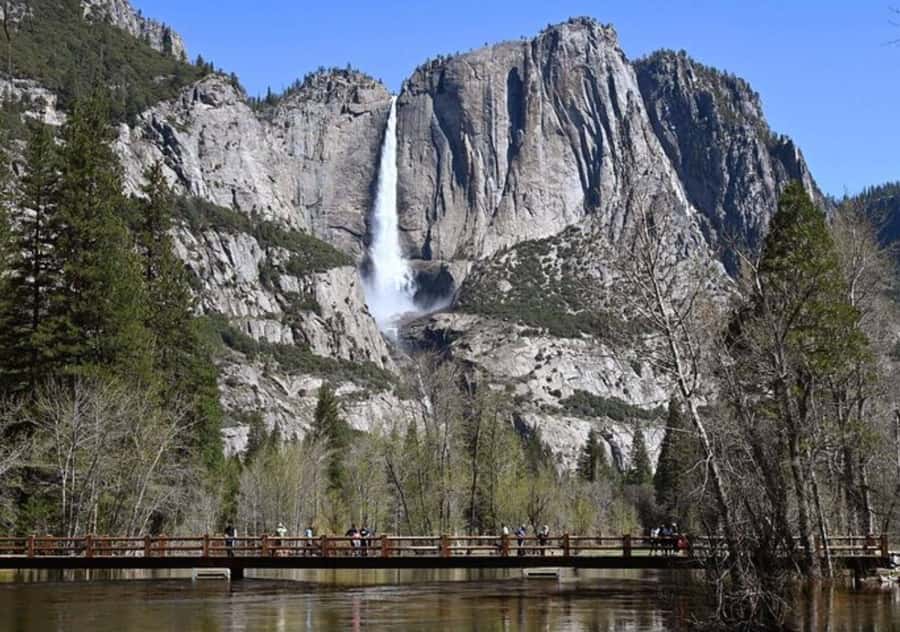 From San Jose:Enchanted Full Day Yosemite National Park Tour - Price and value: is $385 worth it for a one-day hit?