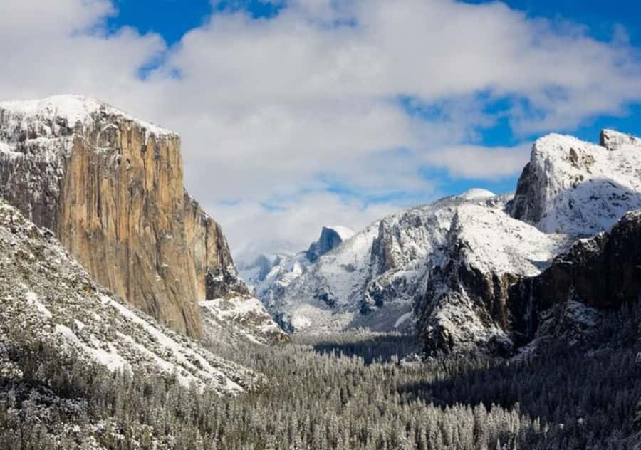 From San Jose:Enchanted Full Day Yosemite National Park Tour - Who this tour suits best (and who should look elsewhere)