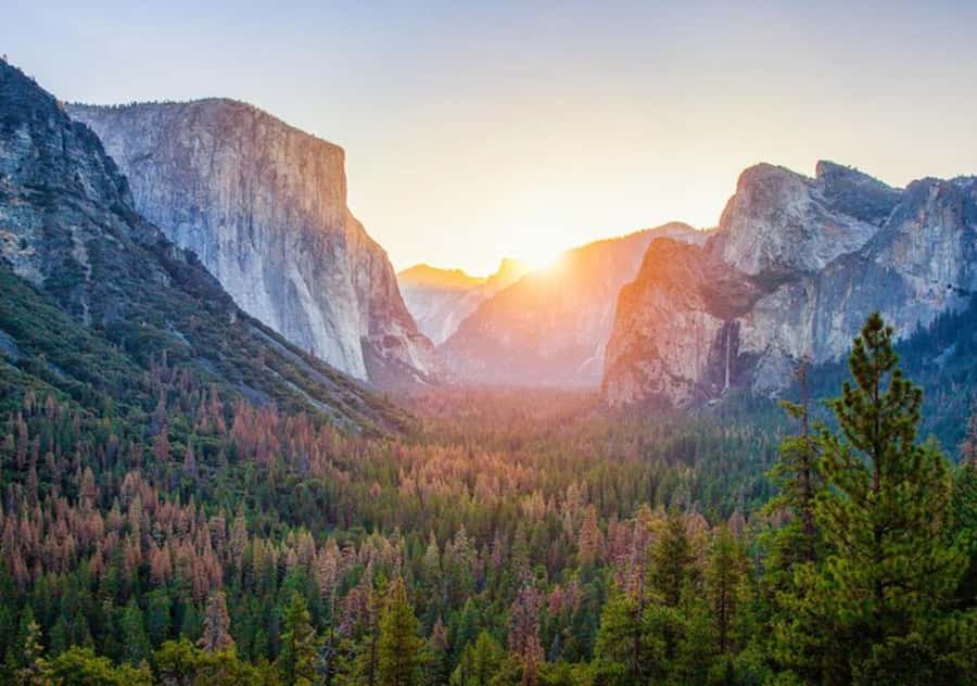 From San Jose:Enchanted Full Day Yosemite National Park Tour - Should you book this Yosemite day trip from San Jose?