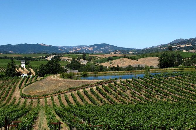 From SF : -8hr- Private Wine Tour & Custom Concierge.XL SUV - Napa Valley in a Tight 3-Hour Window: Choosing Without Regret
