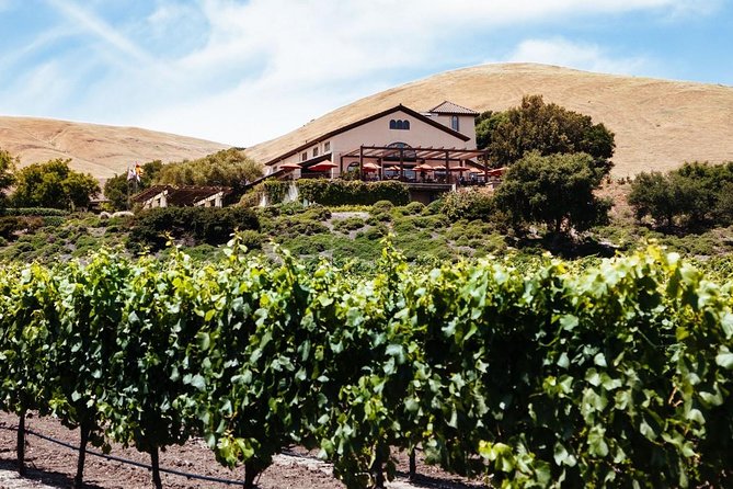 From SF : -8hr- Private Wine Tour & Custom Concierge.XL SUV - Fort Baker at the Golden Gate: Sparkling Wine Before Wine Country