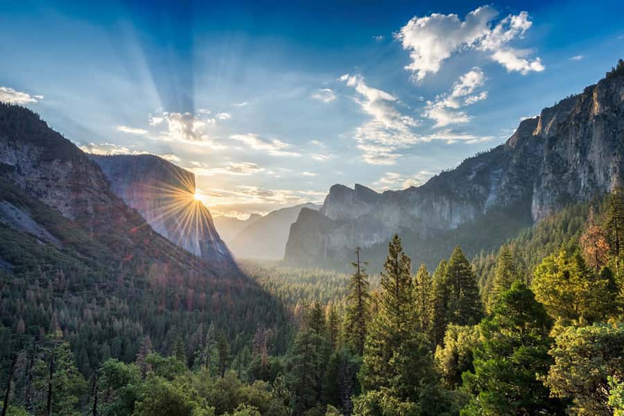 From SF: Yosemite Day Trip with Giant Sequoias Hike & Pickup - El Capitan viewpoint time: spotting climbers like a pro