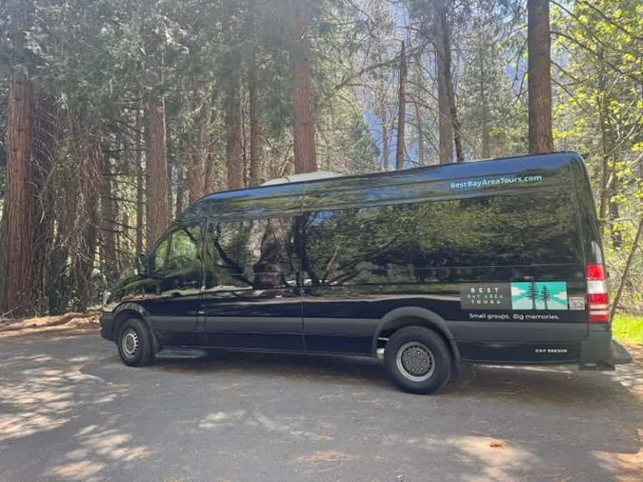 From SF: Yosemite Day Trip with Giant Sequoias Hike & Pickup - Season reality: when you might see bears, ice, or extra winter delays