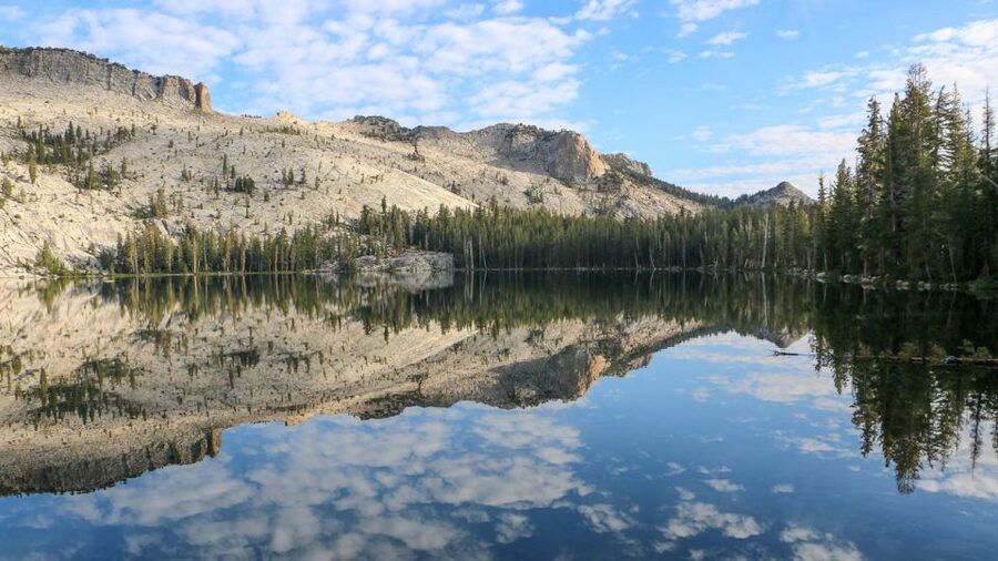 From SFO-Yosemite National Park-Enchanting Full Day Tour - Key things that make this Yosemite day trip work