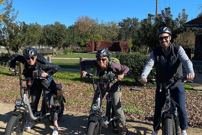Full Day E-Bike Rental - Planning your route: trails, Silverado/Napa trail-style options, and easy wins