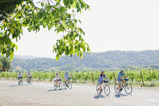 Full-Day Napa Winery E-Bike Tour (with Picnic Lunch) - Materra Cunat Family Vineyards: Mother Earth meets Oak Knoll terroir