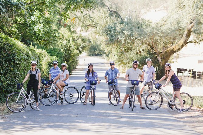 Full-Day Napa Winery E-Bike Tour (with Picnic Lunch) - Two wineries, two different stories: how the tastings work